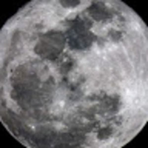 Meet your Posher, Larry